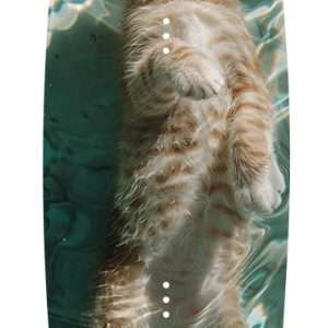 Wake Kemp™ — 973 17 wake design original